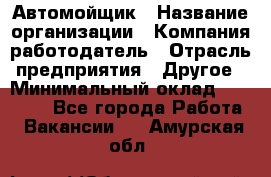 Автомойщик › Название организации ­ Компания-работодатель › Отрасль предприятия ­ Другое › Минимальный оклад ­ 20 000 - Все города Работа » Вакансии   . Амурская обл.